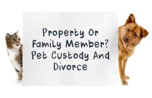 pet custody and divorce