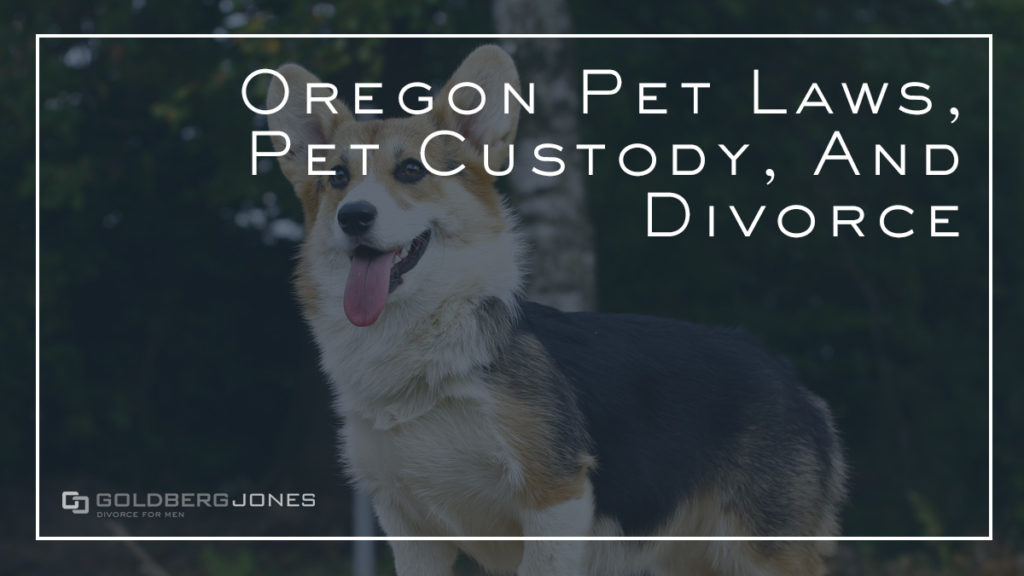 Oregon Pet Laws, Pet Custody, And Divorce