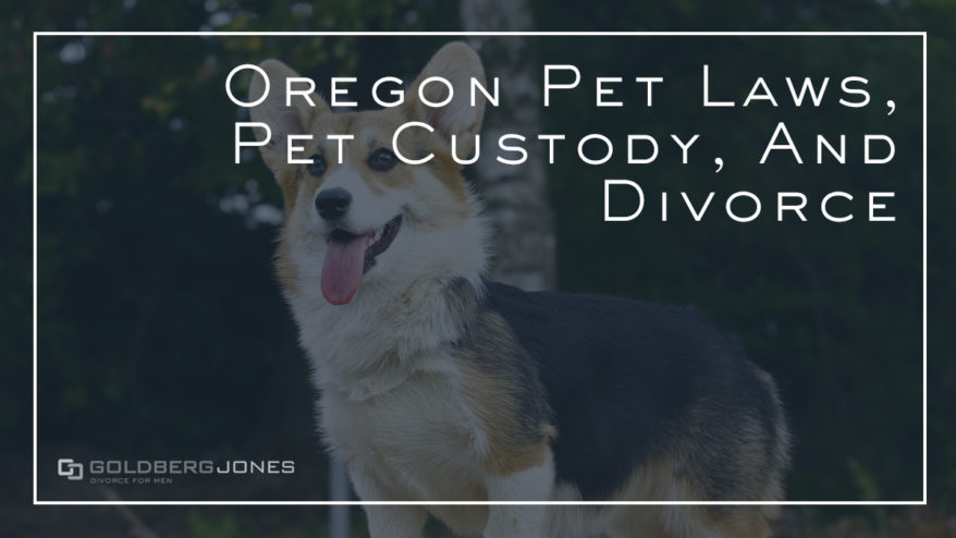 pet custody and divorce
