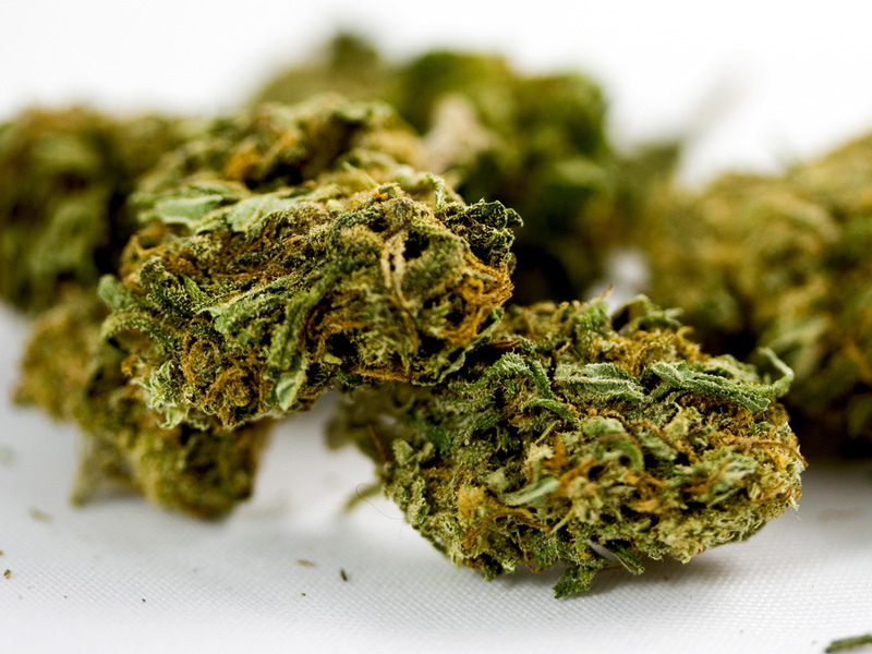 how does cannabis affect custody