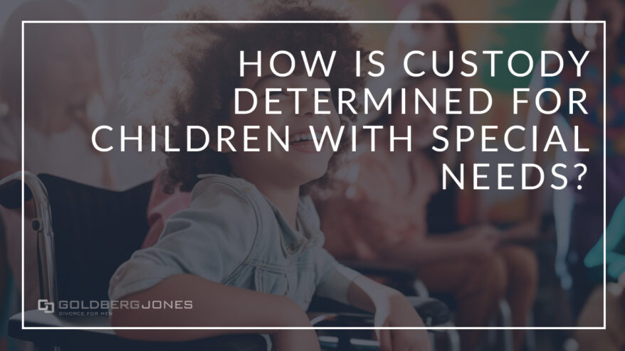 how is custody and visitation determined for special needs children