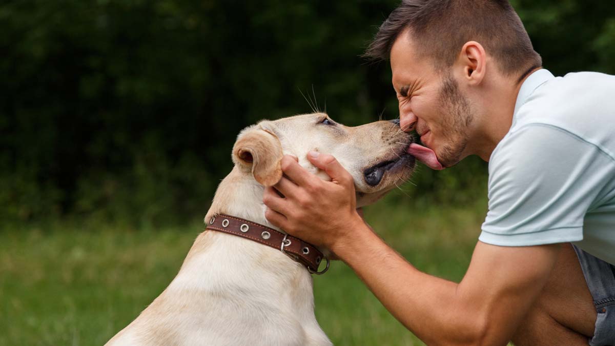 Featured image for “Oregon Pet Laws, Pet Custody, And Divorce”